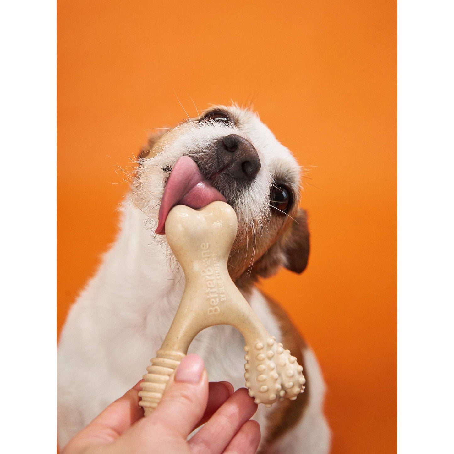 BetterBone HARD CHEW TOY: The natural, eco - friendly, and ultra - durable chew for the toughest chewers! - Johnbob's General Store