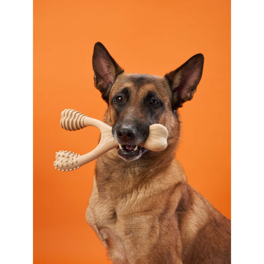 BetterBone HARD CHEW TOY: The natural, eco - friendly, and ultra - durable chew for the toughest chewers! - Johnbob's General Store