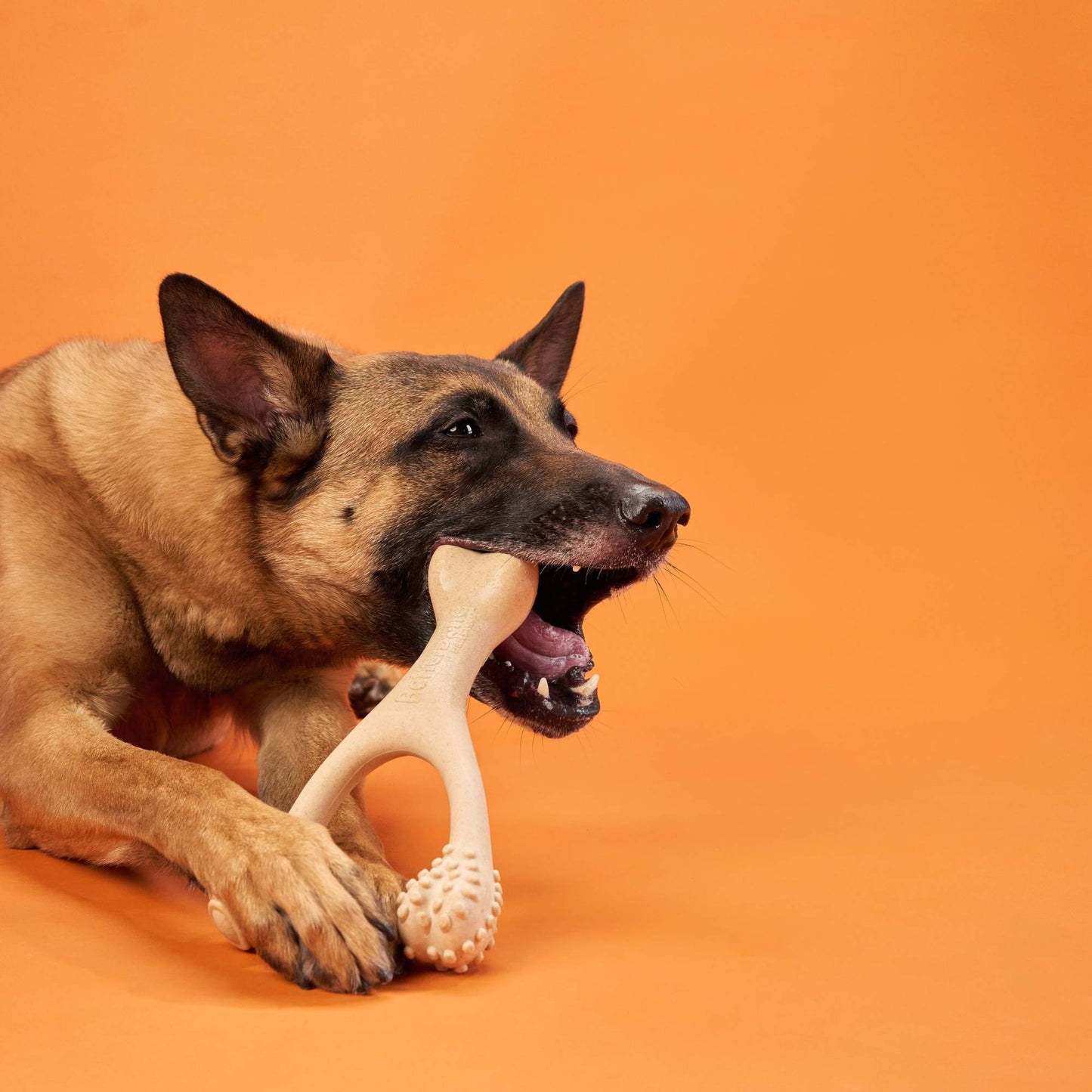 BetterBone HARD CHEW TOY: The natural, eco - friendly, and ultra - durable chew for the toughest chewers! - Johnbob's General Store