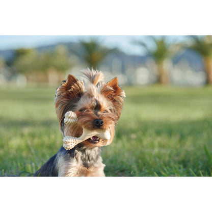 BetterBone HARD CHEW TOY: The natural, eco - friendly, and ultra - durable chew for the toughest chewers! - Johnbob's General Store