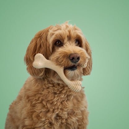 BetterBone MEDIUM Durability CHEW TOY: Perfect Chew for Everyday Chewers | Natural, Eco - Friendly, Non - Toxic - Johnbob's General Store