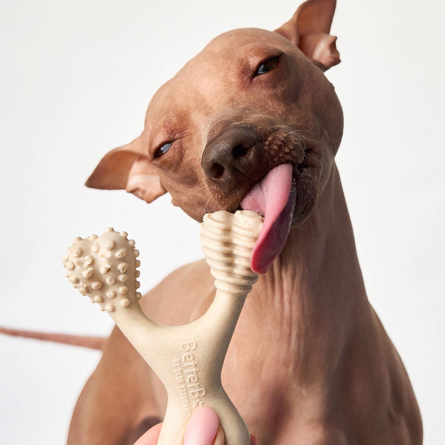 BetterBone MEDIUM Durability CHEW TOY: Perfect Chew for Everyday Chewers | Natural, Eco - Friendly, Non - Toxic - Johnbob's General Store