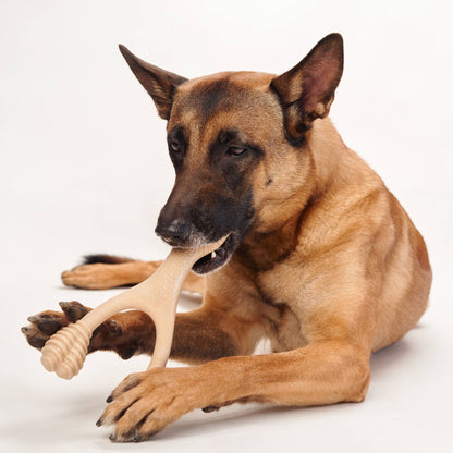 BetterBone MEDIUM Durability CHEW TOY: Perfect Chew for Everyday Chewers | Natural, Eco - Friendly, Non - Toxic - Johnbob's General Store