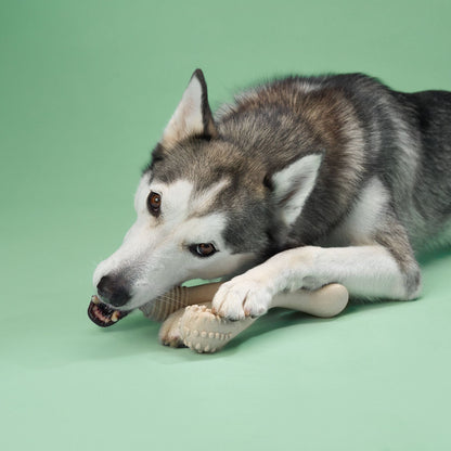 BetterBone MEDIUM Durability CHEW TOY: Perfect Chew for Everyday Chewers | Natural, Eco - Friendly, Non - Toxic - Johnbob's General Store