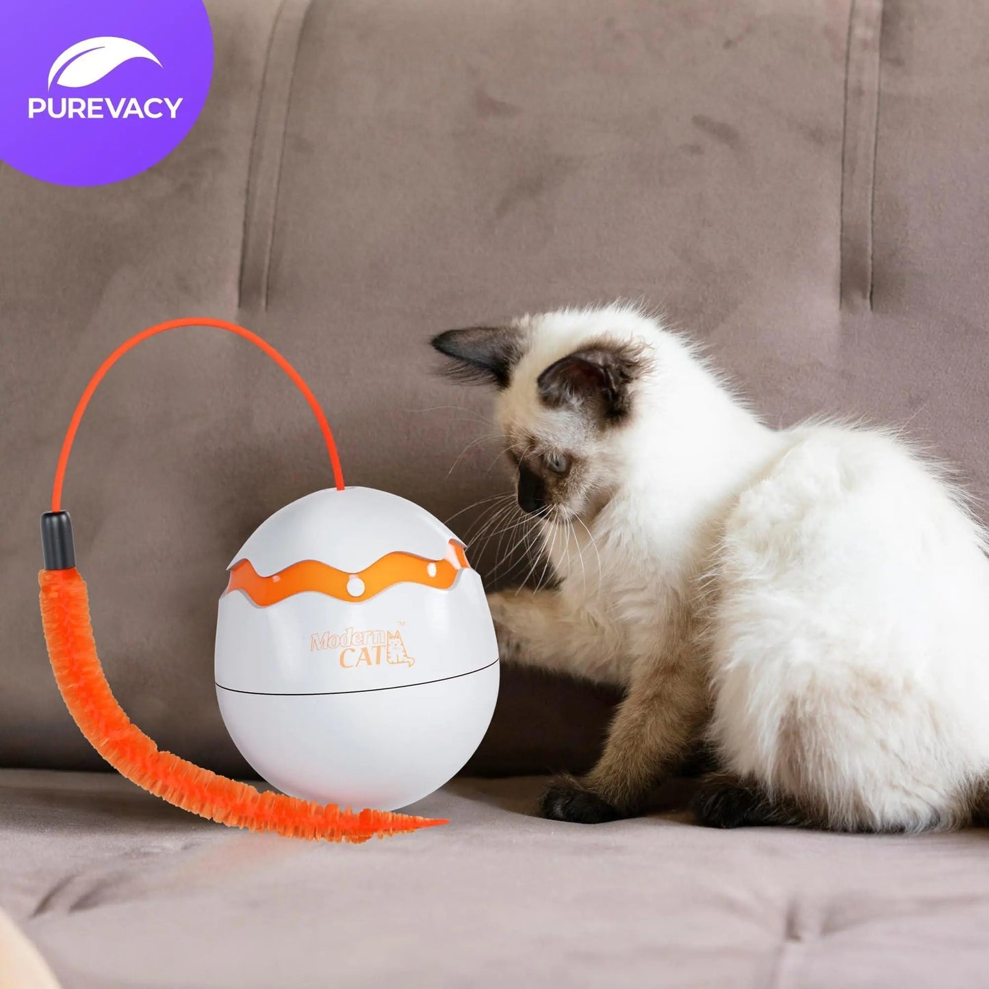 Interactive Cat Toy Dino Egg White Automatic Toy with 360 Degree Rotation Auto - Johnbob's