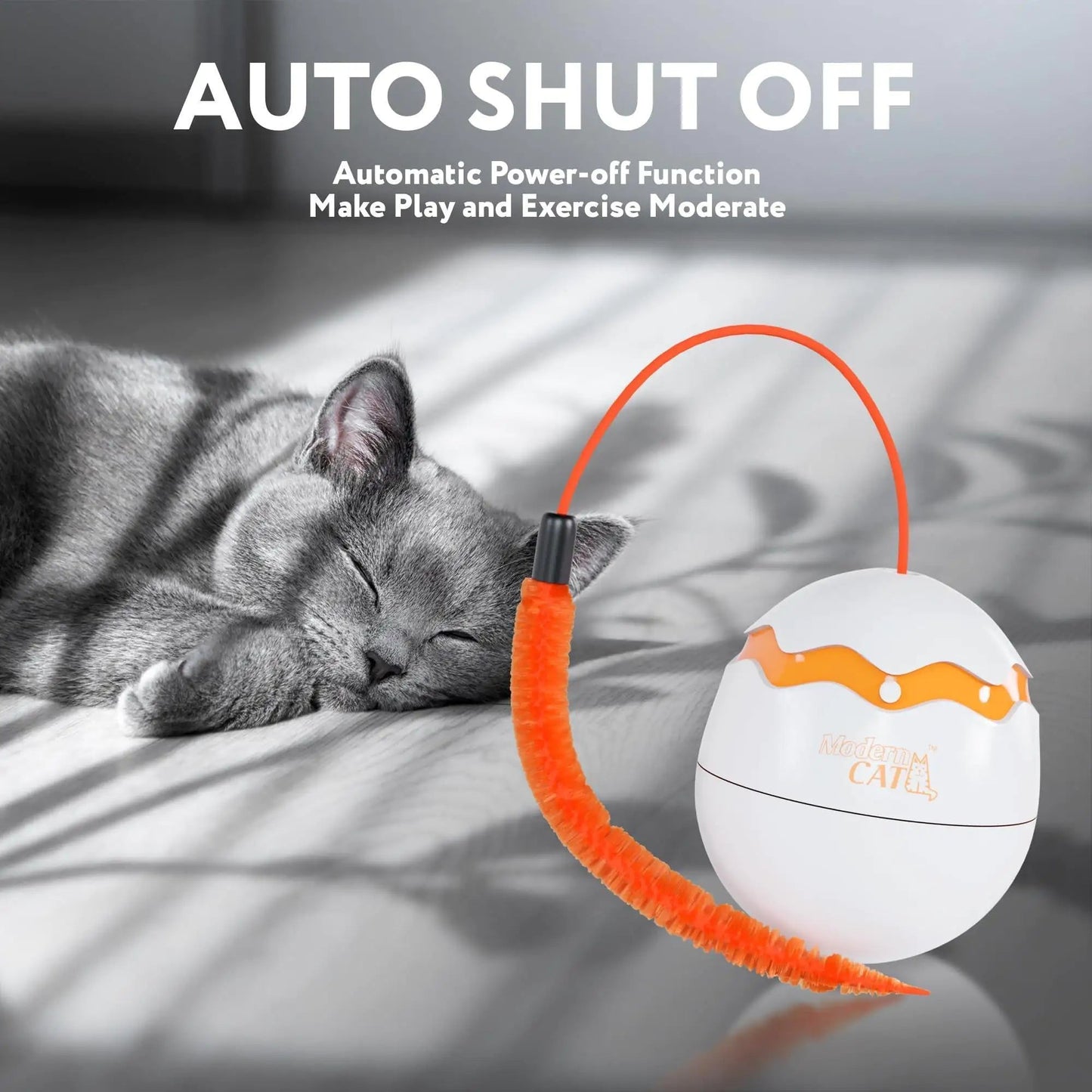 Interactive Cat Toy Dino Egg White Automatic Toy with 360 Degree Rotation Auto - Johnbob's