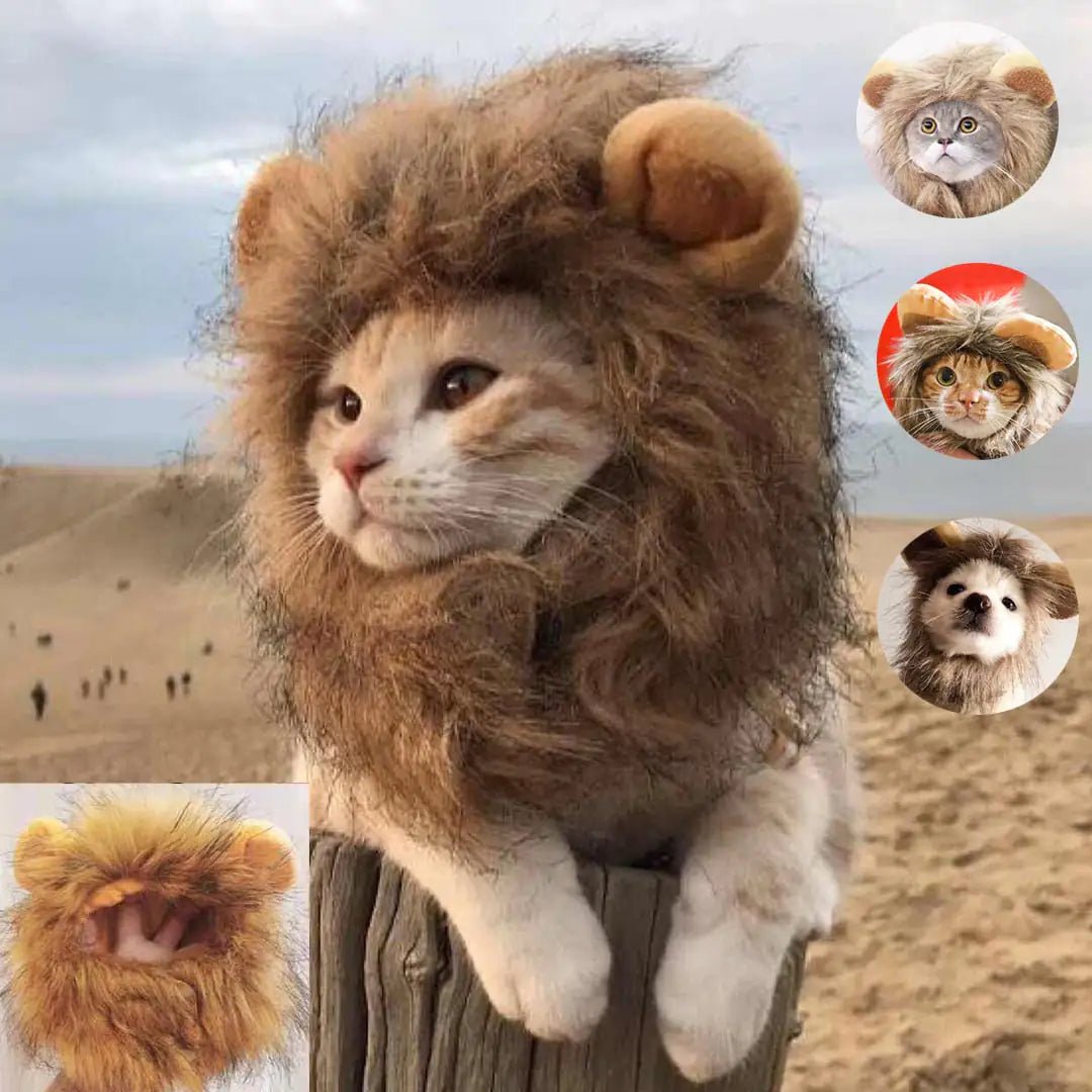 Lion Mane Cat Costume - Johnbob's General Store, LLC