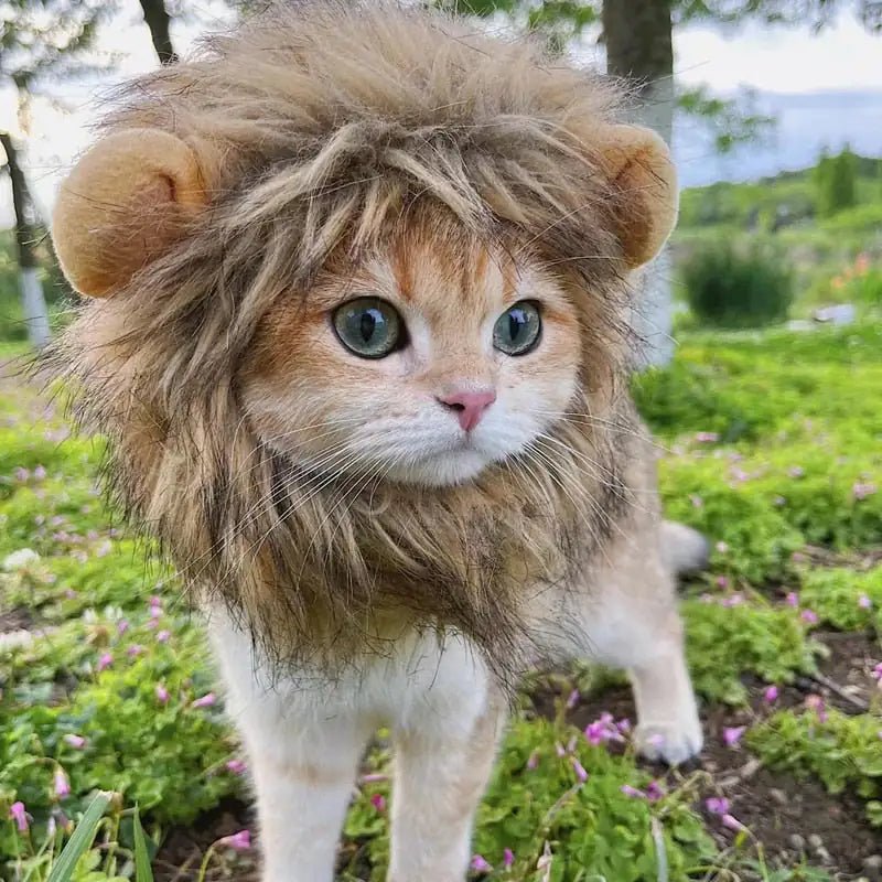 Lion Mane Cat Costume - Johnbob's General Store, LLC