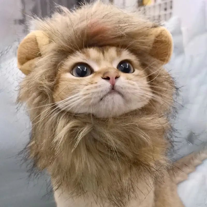 Lion Mane Cat Costume - Johnbob's General Store, LLC