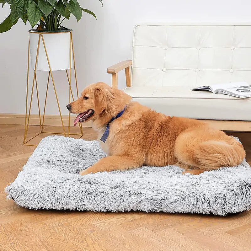 Plush Washable Dog Bed - Johnbob's General Store, LLC